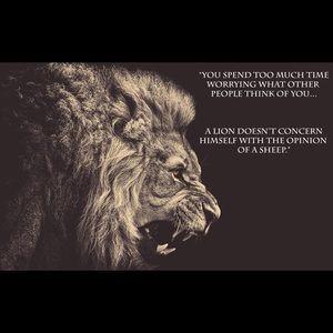 Meet your Posher, Herman